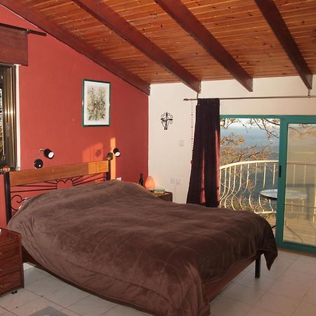 Switzerland In Amirim Villa Dış mekan fotoğraf