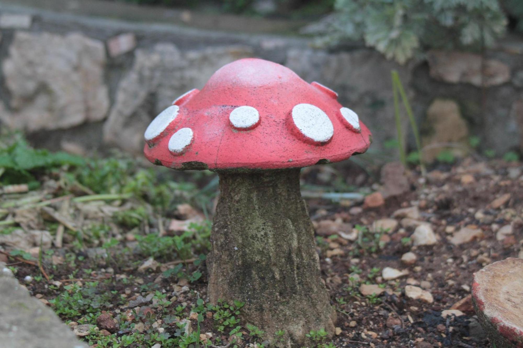 Switzerland In Amirim Villa Dış mekan fotoğraf