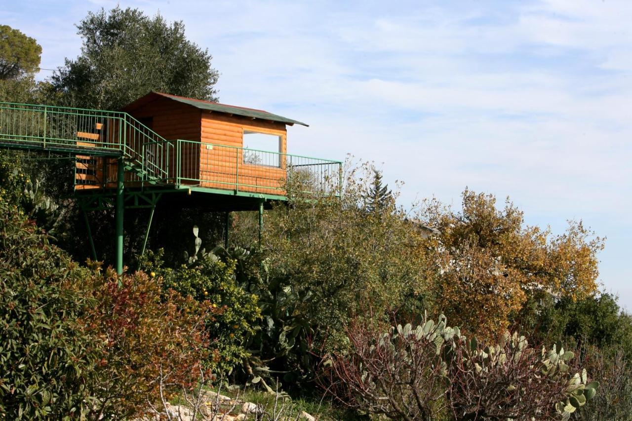 Switzerland In Amirim Villa Dış mekan fotoğraf